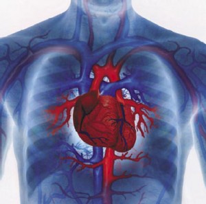 Congestive Heart Failure Life Expectancy